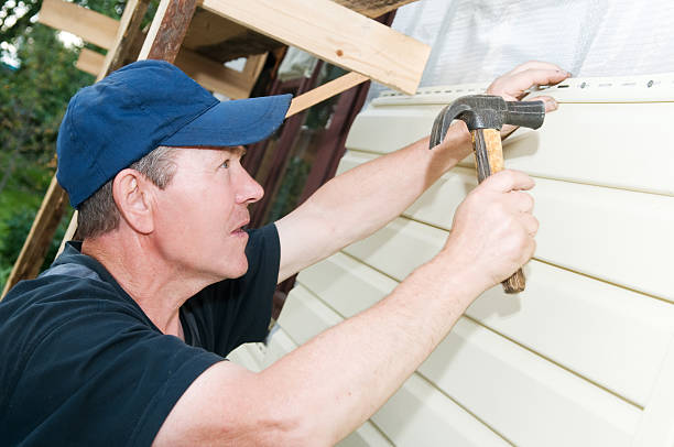 Best Aluminum Siding Installation  in Hebron, IN